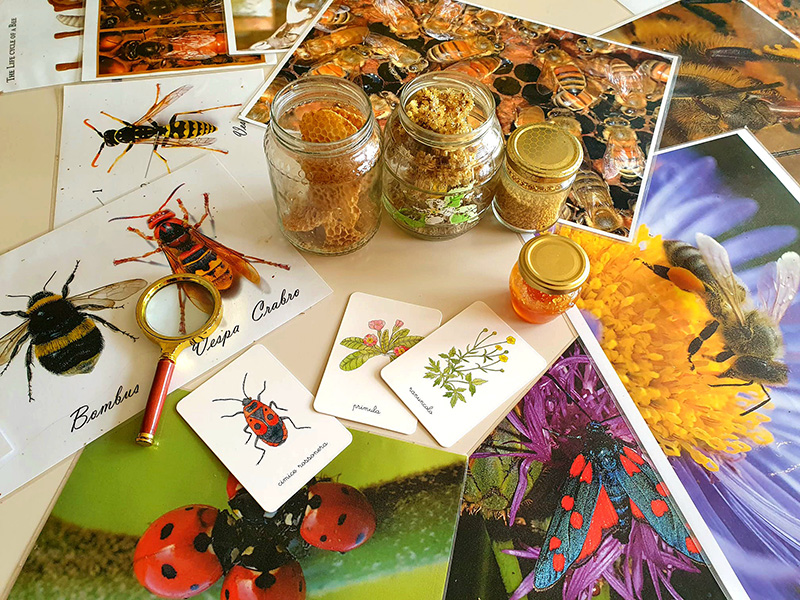 barattoli di miele disegni fatti da bambini raffiguranti le api e i fiori